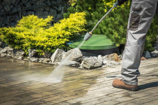 Best Boat and Dock Cleaning  in Woods Creek, WA