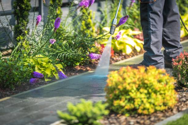 Best Winterizing Services  in Woods Creek, WA